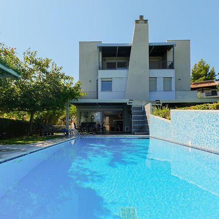 Deluxe Chrousso Pool Villa Paliouri Exteriör bild